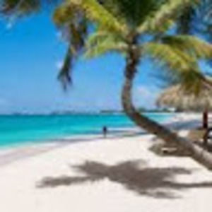 Meet your Posher, Adrienne